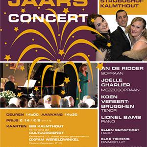 Affiche nieuwjaarsconcert 2015